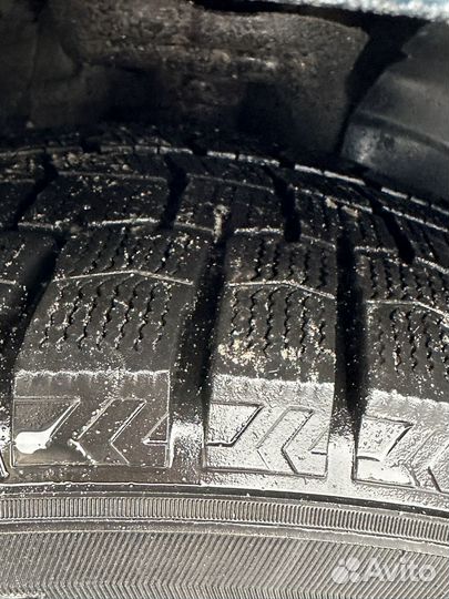 Dunlop Winter Maxx 225/55 R17 101T