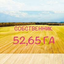 Участок 52,65 га (СНТ, ДНП)