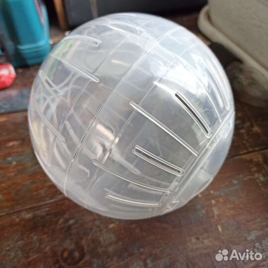 Прогулочный шар для грызунов