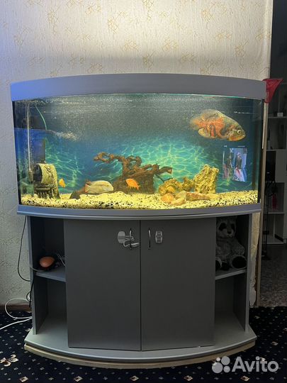 Аквариум с тумбой