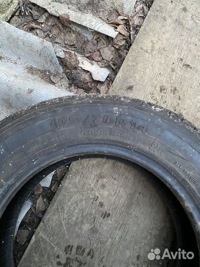 Accelera Gamma 3.75/8 R8 25J
