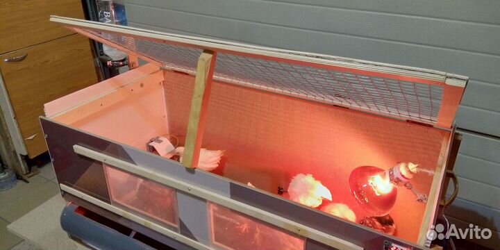 Брудеры новые и б/у