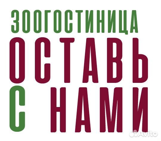 Гостиница для собак на природе. Отдельные комнаты