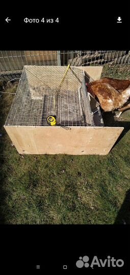Клетка для перепелок и кур