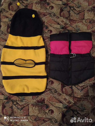 Эргономичная шлейка и одежда для собаки