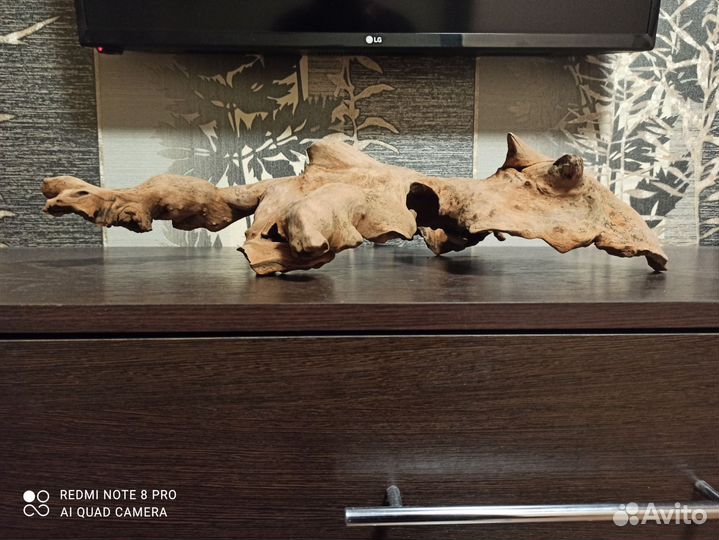 Коряга в аквариум