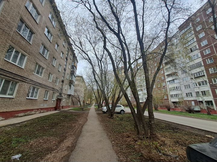 1-к. квартира, 31 м², 1/5 эт.