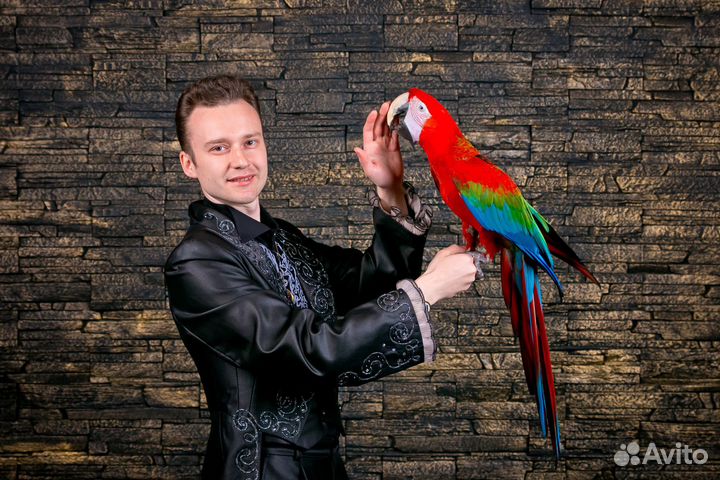 Детский Фокусник