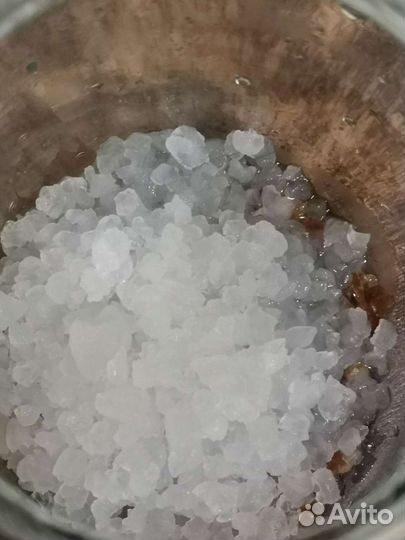 Индийский морской рис