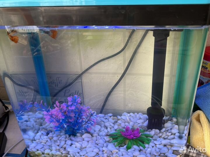 Аквариум