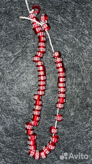 Именные кольца для канарейки, амадинов