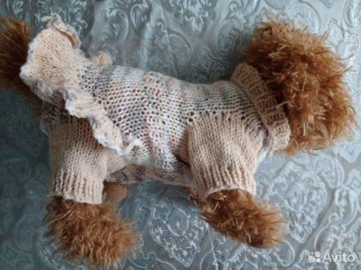 Одежда для животных