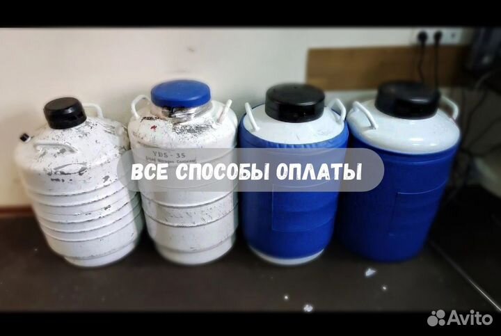 Сосуд дьюара в аренду