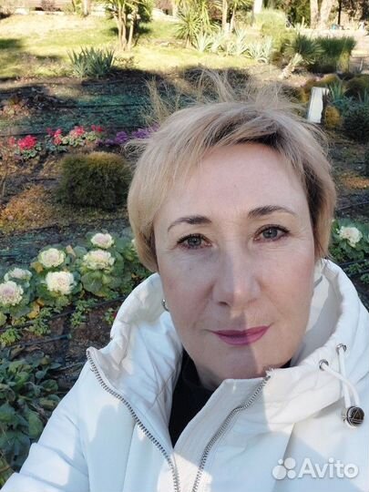 Финансовый директор, Главный бухгалтер