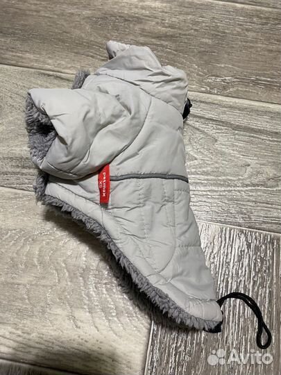 Одежда для мелкой собаки xs