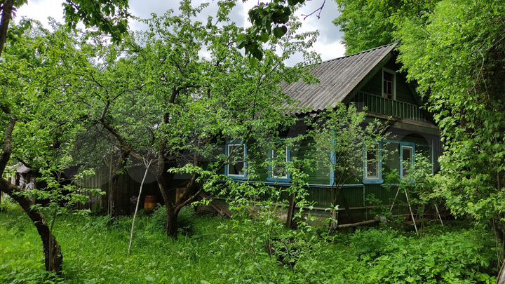 Дом 58,9 м² на участке 50 сот.