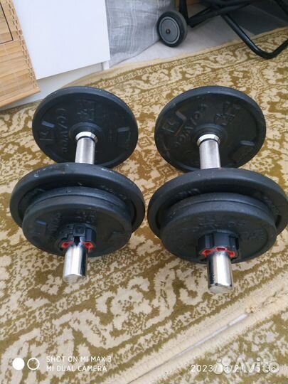 Гантели Domyos, гриф изогнутый, блины Torneo