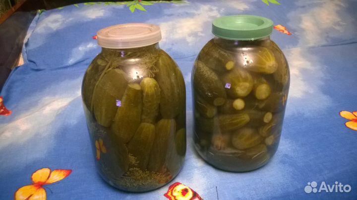 Домашние соленые огурчики