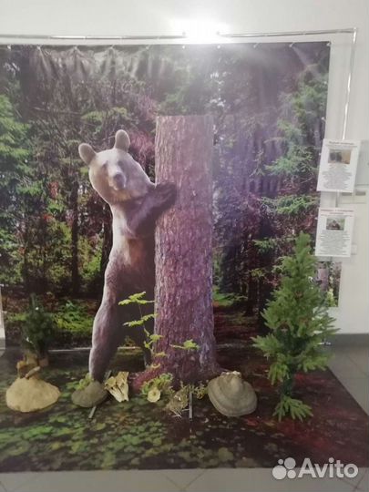 Фигура медведя