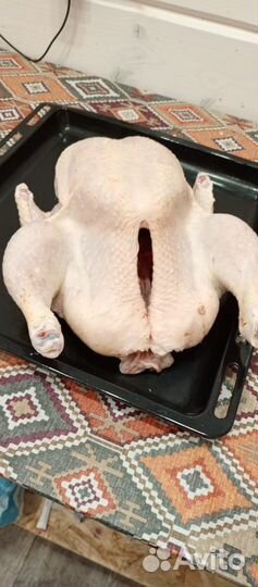 Мясо домашней курицы из деревни