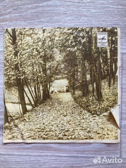 Пластинка частушки