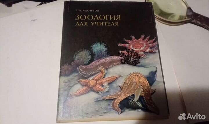 Зоология для учителя 1968г издания