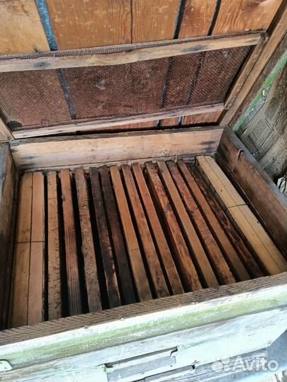 Улий для пчел