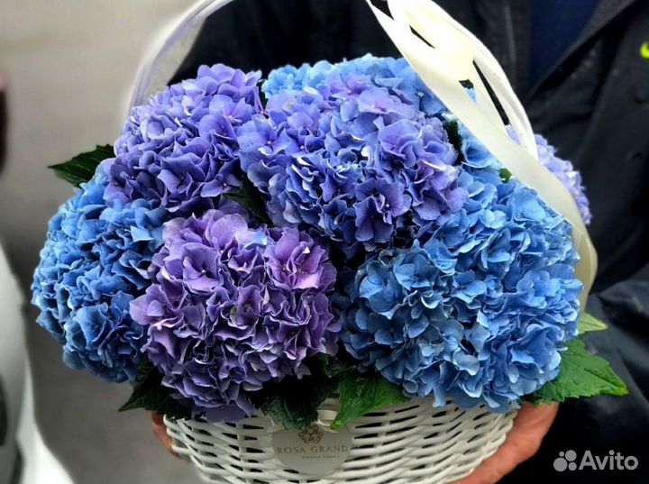Букет гортензий