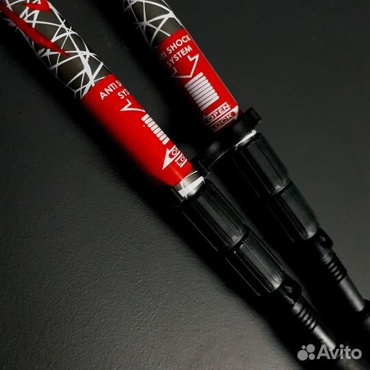 Палки для скандинавской ходьбы Vinson P300