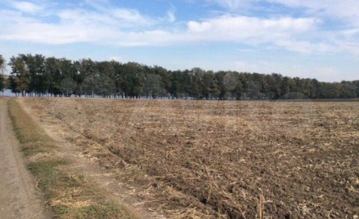 Участок 4,95 га (СНТ, ДНП)