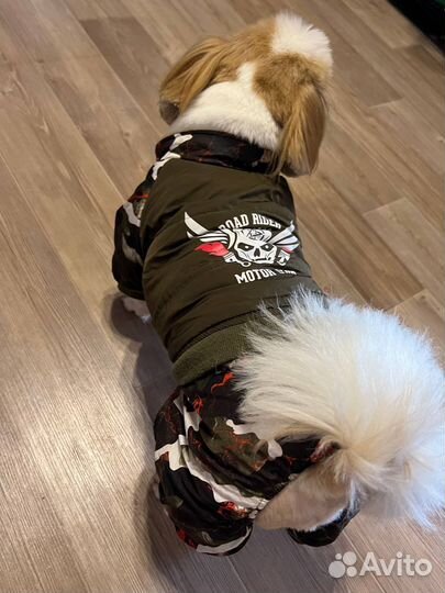 Комбинезон Одежда для маленьких собак