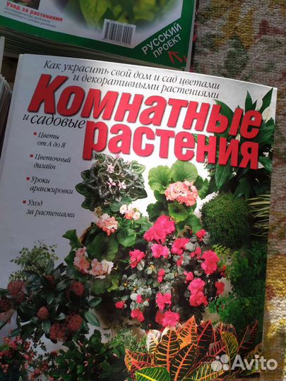 Комнатные растения