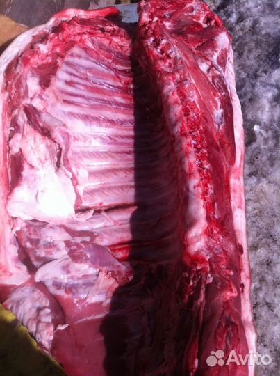 Мясо домашнее, мангалица