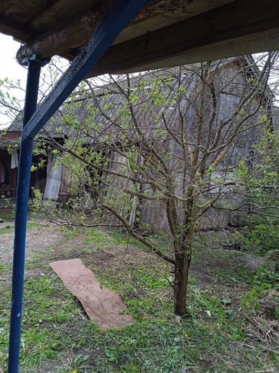 Дом 85 м² на участке 10 сот.