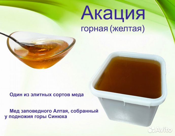 Алтайский мед (опт)