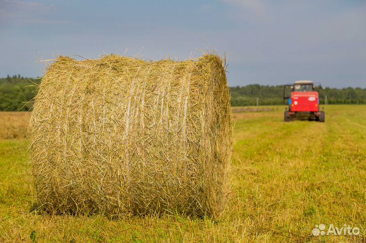 Сено рулонны