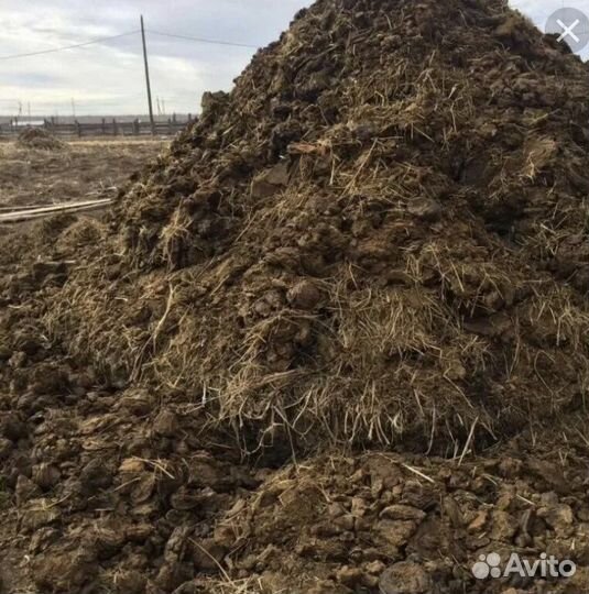 Навоз конский, коровий