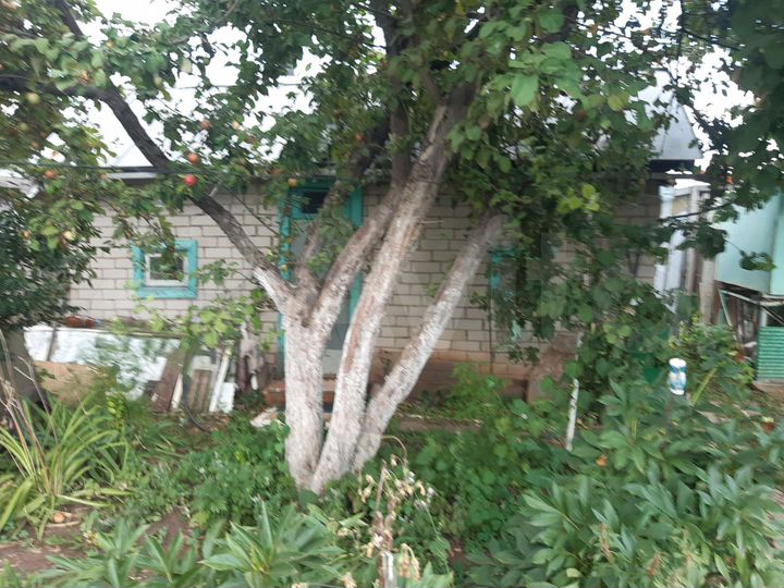 Дом 32 м² на участке 4,7 сот.