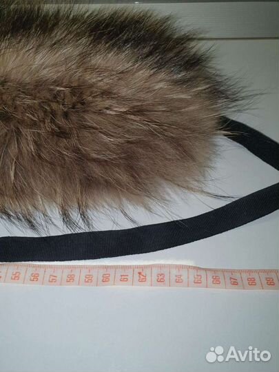 Горжетка енот