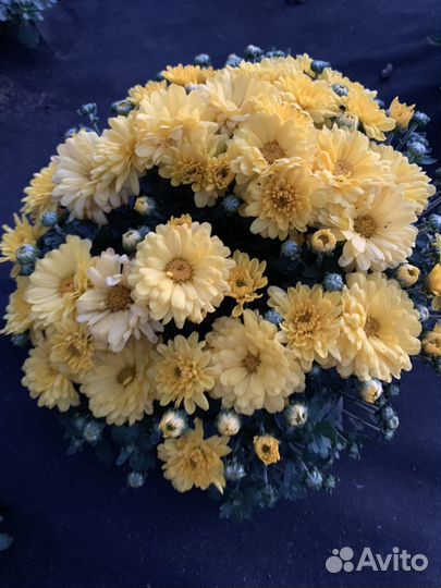 Мультифлора