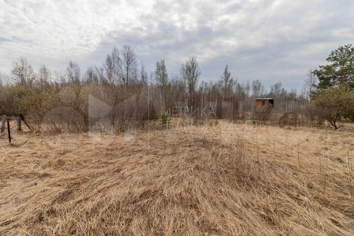 Участок 9,7 сот. (СНТ, ДНП)