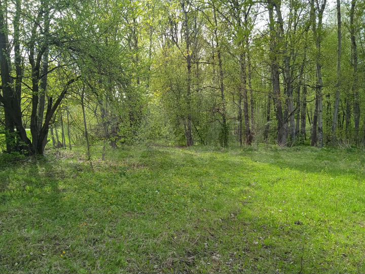 Участок 20 сот. (ИЖС)