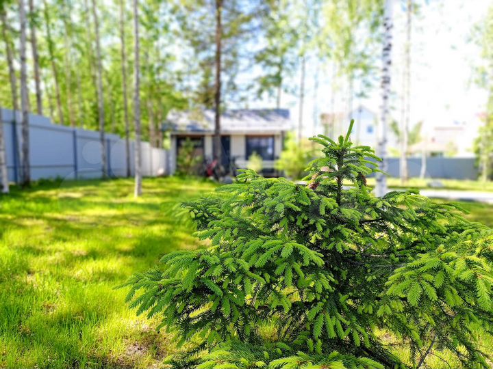 Дом 25 м² на участке 15 сот.