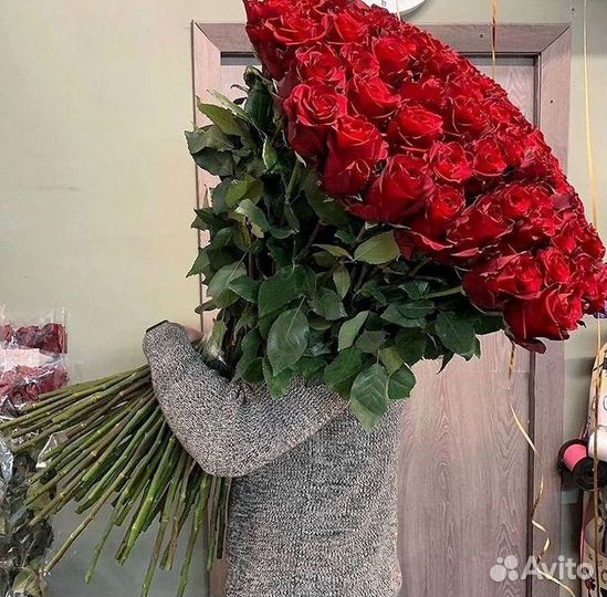 Розы гиганты 140 150 160 170 180 200