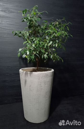 Вазоны, Горшки, Кашпо под заказ из бетона арт 24