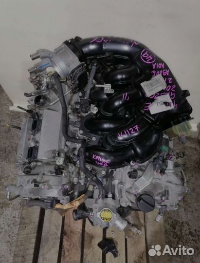 Двигатель Lexus is250 GSE20 4GR