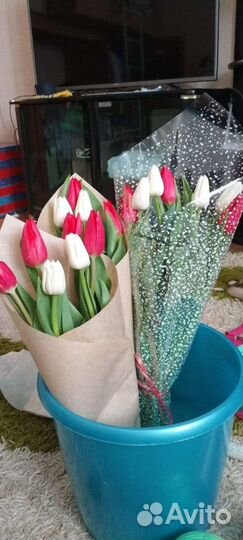 Тюльпаны к 8 марта розница