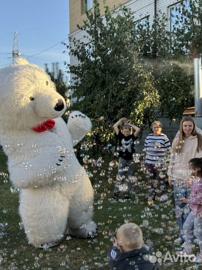 Белый мишка поздравление