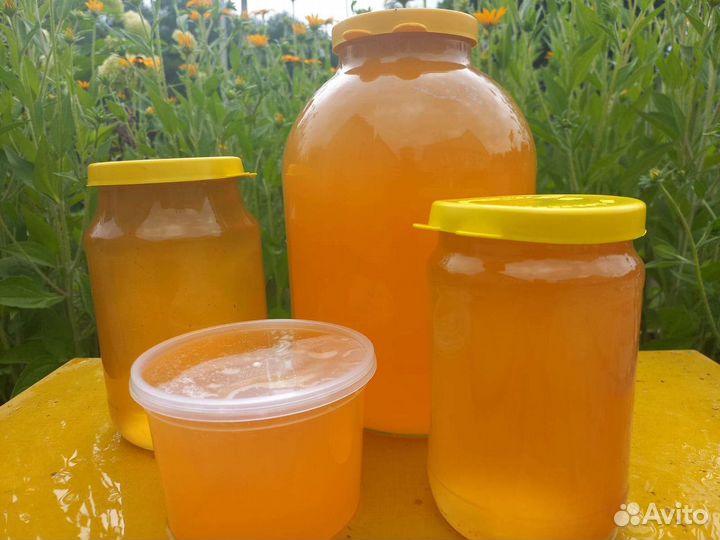 Мед майский