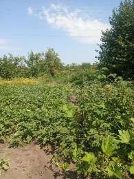 Участок 6 сот. (СНТ, ДНП)